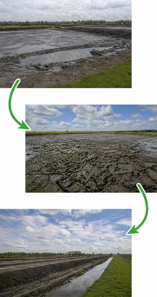 Indrogingsproces bagger (landfarming) – van natte slib naar toepasbare grond