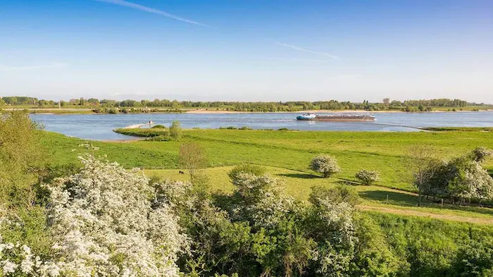 Groene uiterwaarden langs de rivier bij de Ingensche Waarden, ingericht voor het storten van baggerspecie.